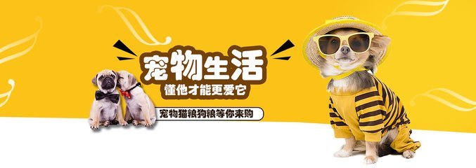 TPWallet钱包苹果版